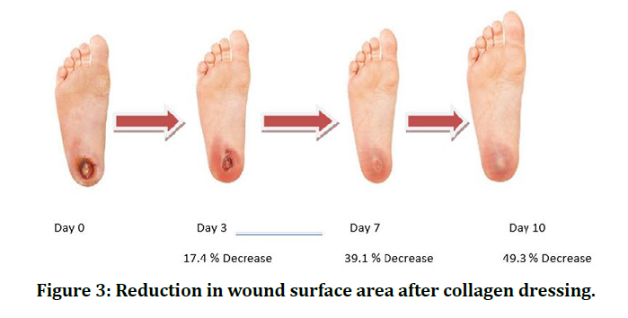 medical-dental-surface-area