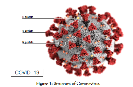 medical-diagnostic-methods-Coronavirus