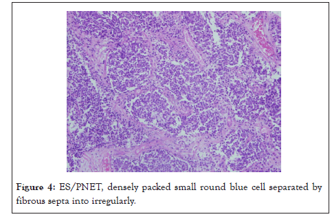 medical-surgical-densely