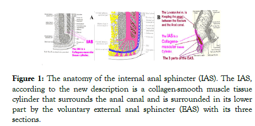 medical-surgical-urology-description