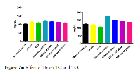 medicinal-aromatic-plants-Effect-Br