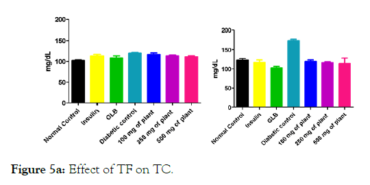 medicinal-aromatic-plants-Effect-TF