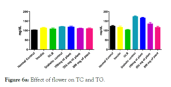 medicinal-aromatic-plants-Effect-flower