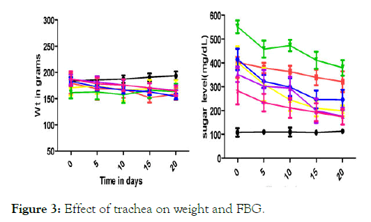 medicinal-aromatic-plants-Effect-trachea