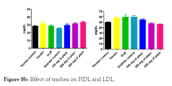 medicinal-aromatic-plants-HDL