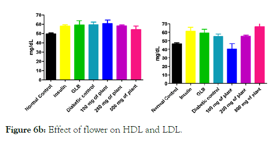 medicinal-aromatic-plants-LDL