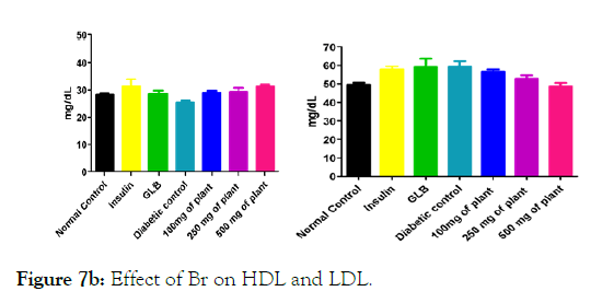 medicinal-aromatic-plants-LDL