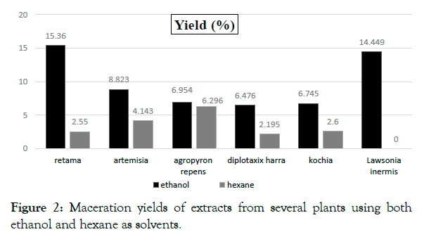 medicinal-aromatic-plants-Maceration-yields