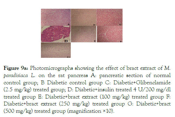 medicinal-aromatic-plants-Photomicrographs