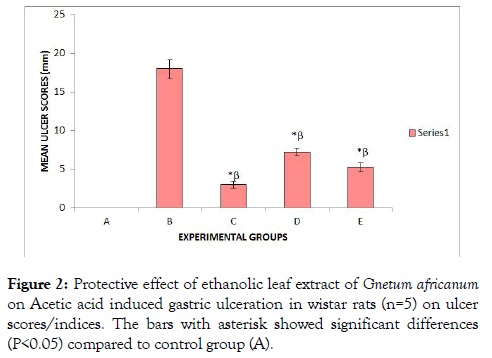 medicinal-aromatic-plants-extract