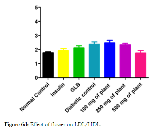 medicinal-aromatic-plants-flower