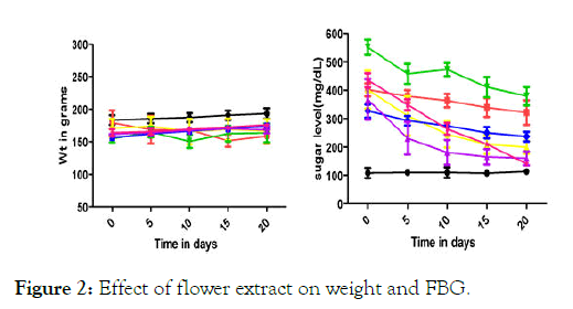 medicinal-aromatic-plants-flower-extract