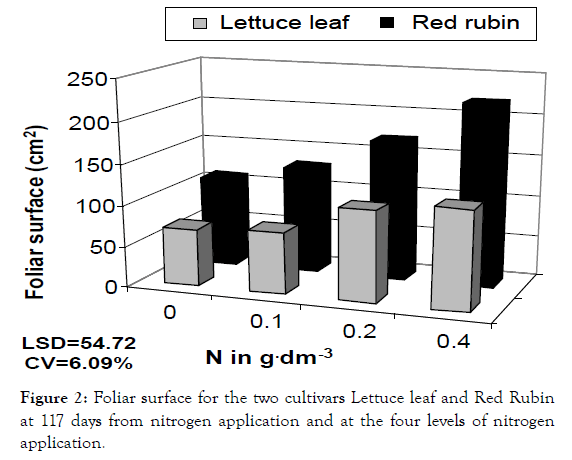 medicinal-aromatic-plants-foliar-surface