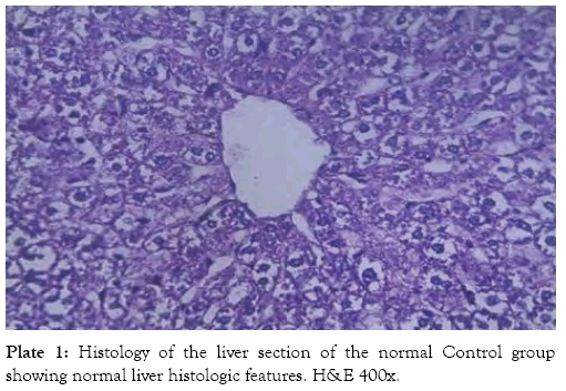 medicinal-aromatic-plants-histologic