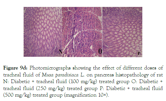 medicinal-aromatic-plants-histopathology