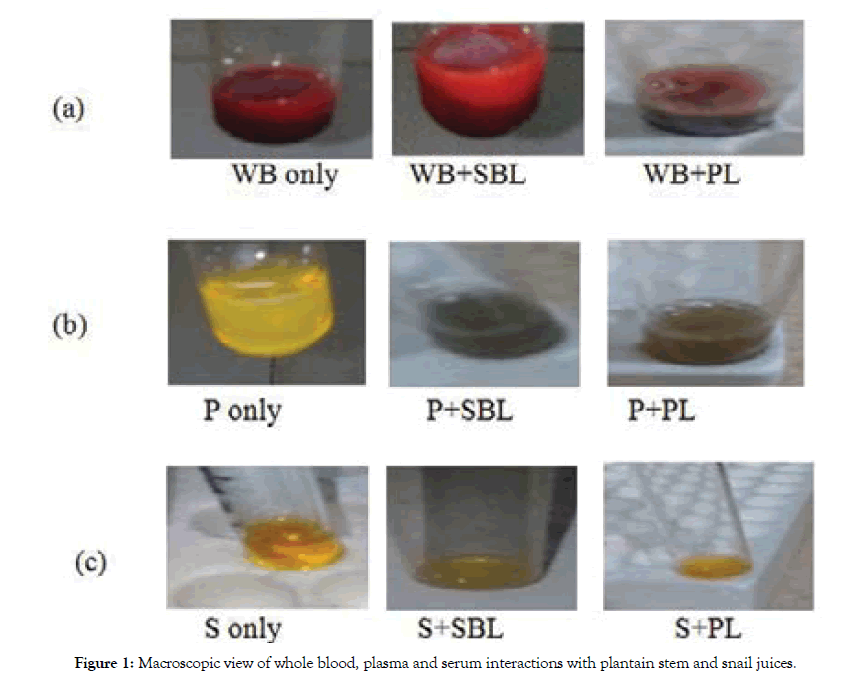 medicinal-aromatic-plants-interactions