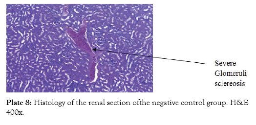 medicinal-aromatic-plants-negative