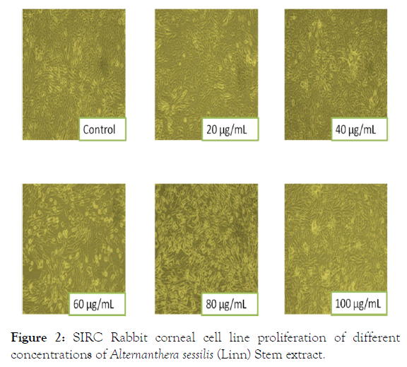medicinal-aromatic-plants-proliferation