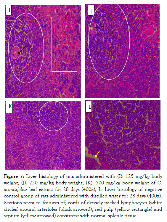 medicinal-aromatic-plants-splenic-tissue