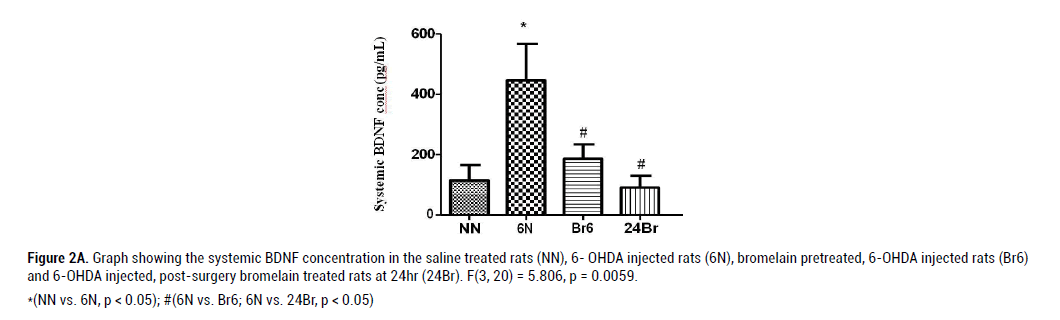 neurology-neurophysiology-bromelain-pretreated