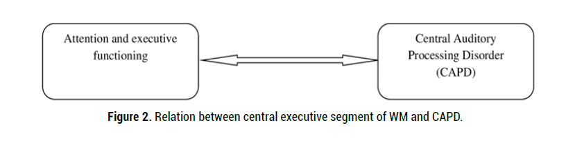 neurology-neurophysiology-central-executive