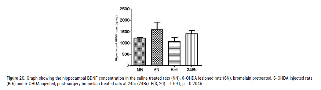 neurology-neurophysiology-lesioned-rats