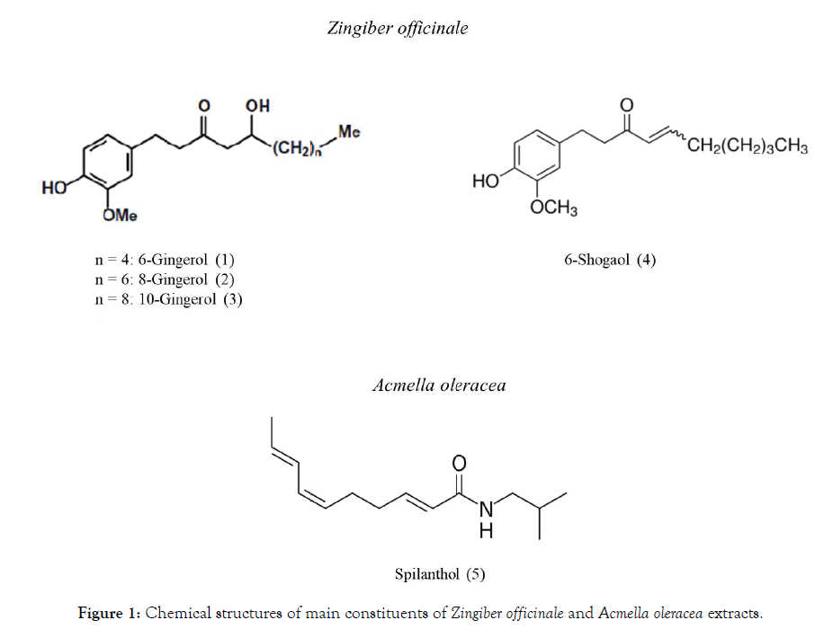 nutrition-food-sciences-acmella-oleracea-extracts