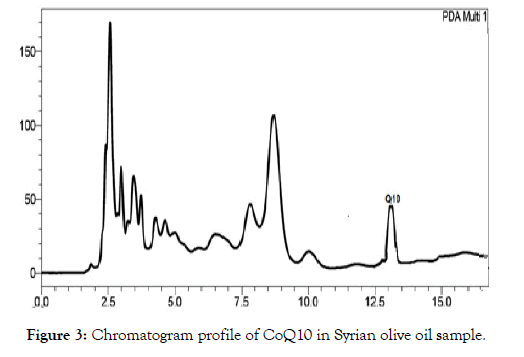 nutrition-food-sciences-olive