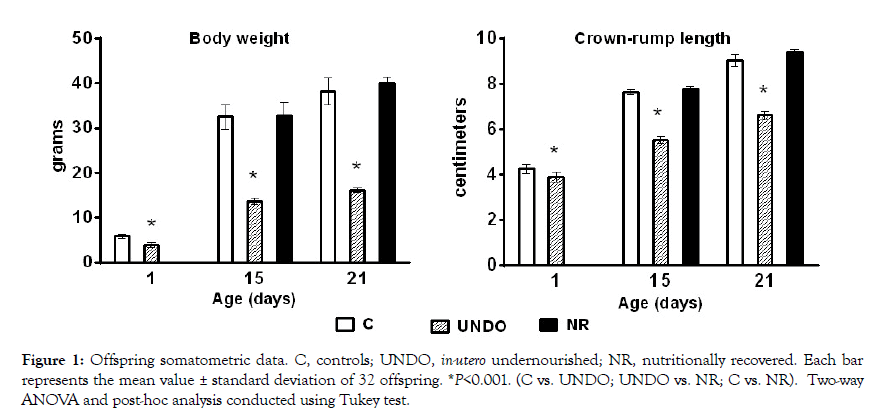 nutrition-food-sciences-somatometric