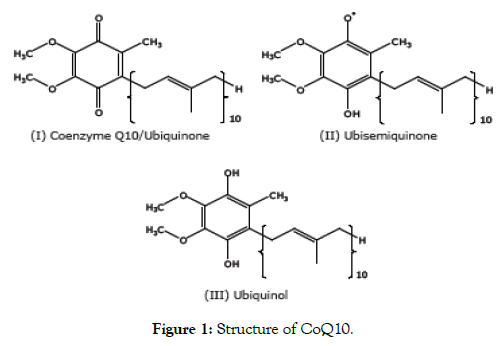 nutrition-food-sciences-structure