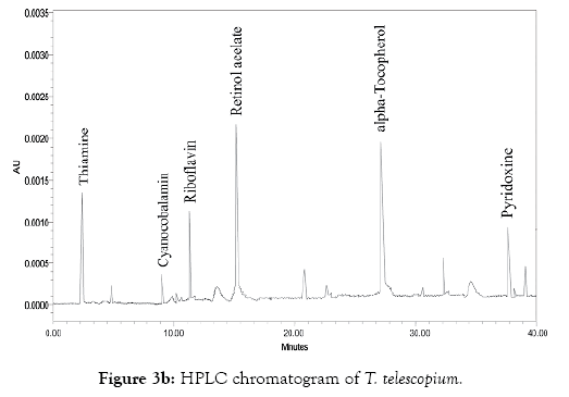 oceanography-marine-research-chromatogram