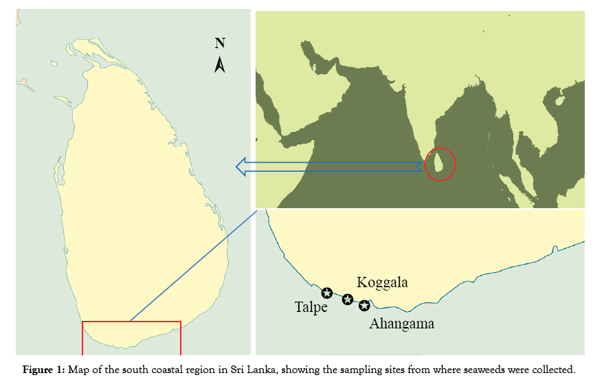 Figure 1: Map of the south coastal region in Sri Lanka, showing the samplin...