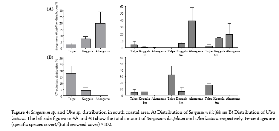 oceanography-marine-research-distribution