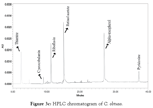 oceanography-marine-research-hplc