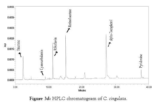 oceanography-marine-research-hplc-chromatogram