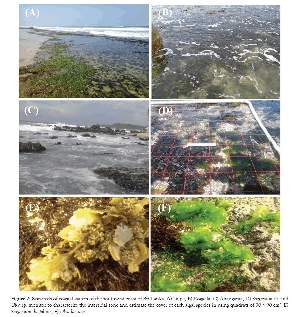 oceanography-marine-research-southwest