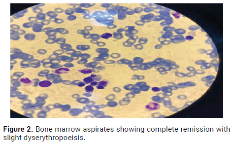 oncology-cancer-case-reports-dyserythropoeisis