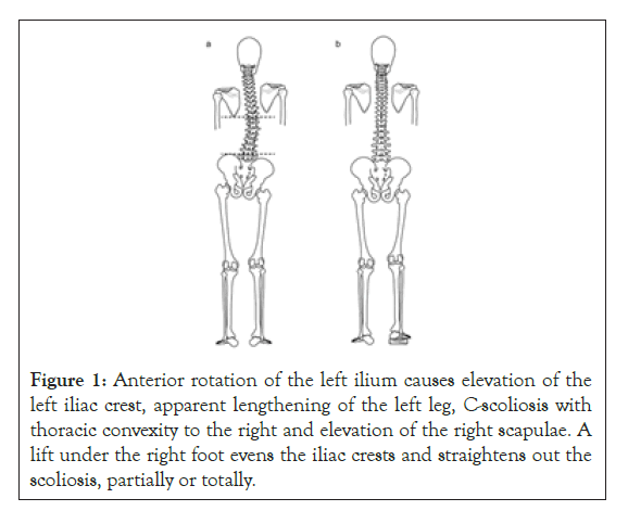 physical-medicine-anterior