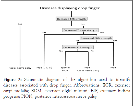 physical-medicine-rehabilitation-algorithm