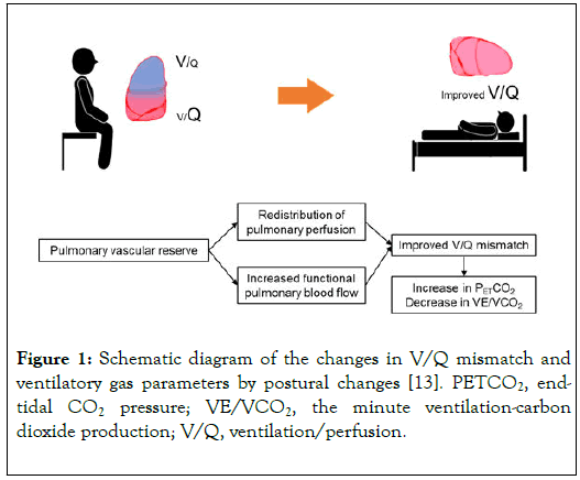 physical-medicine-rehabilitation-diagram