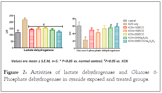 plant-biochemistry-physiology-Activities