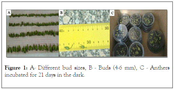 plant-biochemistry-physiology-Different