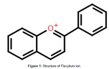 plant-biochemistry-physiology-Flavylium-ion