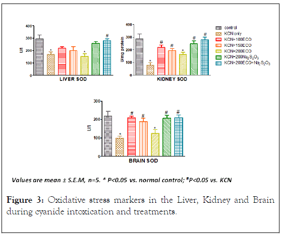 plant-biochemistry-physiology-Oxidative