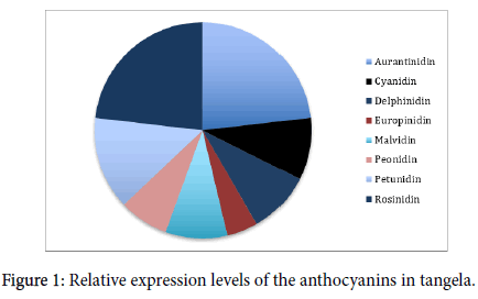 plant-biochemistry-physiology-anthocyanins