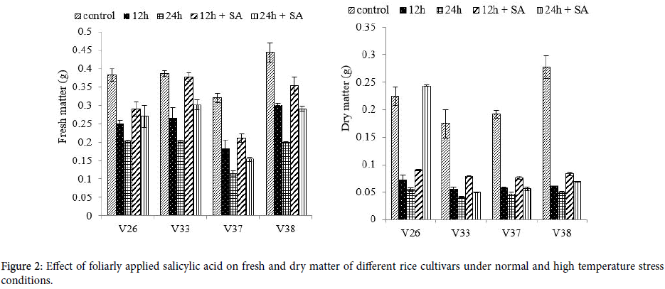 plant-biochemistry-physiology-rice-cultivars