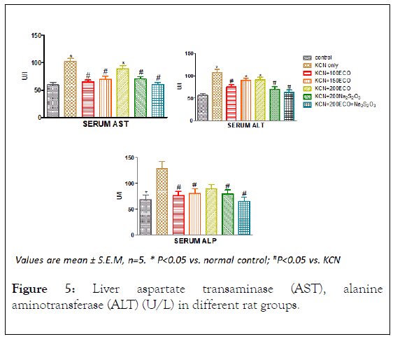 plant-biochemistry-physiology-transaminase