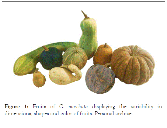 plant-biochemistry-physiology-variability