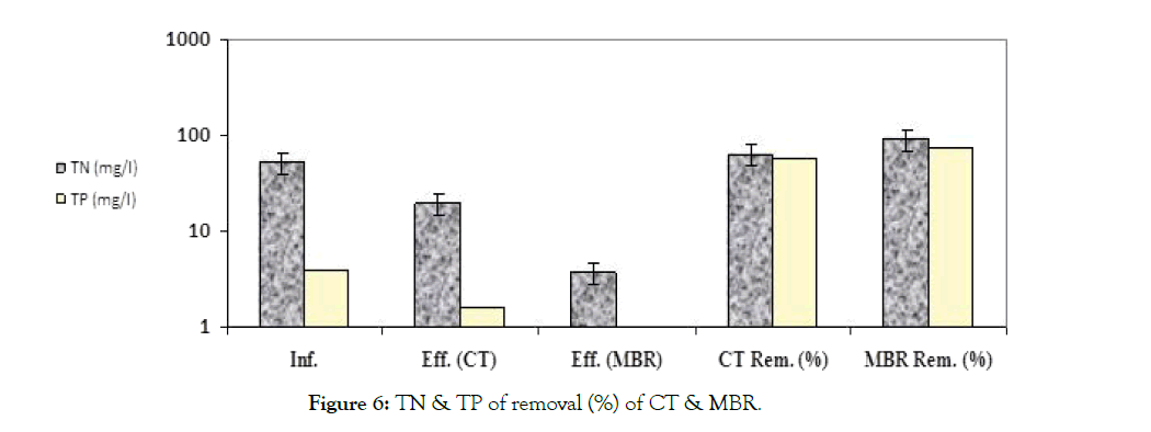 pollution-effects-control-TP-removal