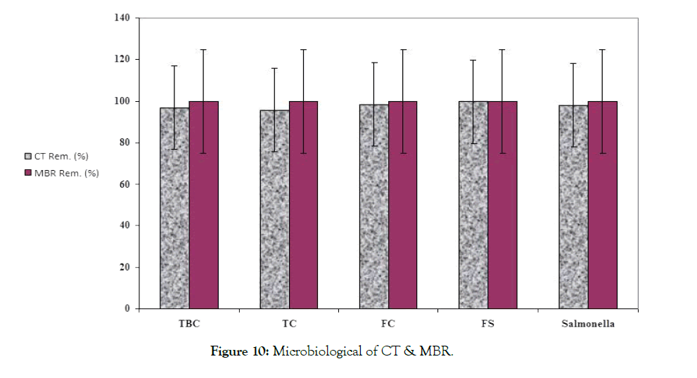 pollution-effects-control-microbiological-CT